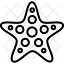 پیش‌نمایش فایل starfish-2350176 از پک سفر و تعطیلات و جاذبه‌های مشهور