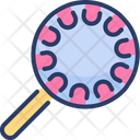 پیش‌نمایش فایل lollipop-2358129 از پک شهربازی