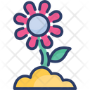 پیش‌نمایش فایل flower-2454051 از پک باغبانی