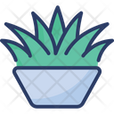 پیش‌نمایش فایل grass-pot-2454027 از پک باغبانی