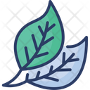 پیش‌نمایش فایل leaves-2454057 از پک باغبانی