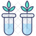 پیش‌نمایش فایل botany-2980339 از پک آموزش آنلاین