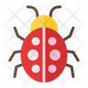 پیش‌نمایش فایل beetle-65 از پک بهار