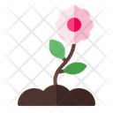 پیش‌نمایش فایل flower-1562 از پک بهار