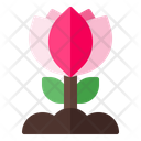 پیش‌نمایش فایل flower-1563 از پک بهار