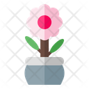 پیش‌نمایش فایل flower-1564 از پک بهار