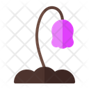 پیش‌نمایش فایل flower-1565 از پک بهار