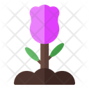 پیش‌نمایش فایل flower-1566 از پک بهار