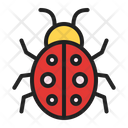 پیش‌نمایش فایل beetle-67 از پک بهار