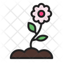 پیش‌نمایش فایل jasmine-14 از پک بهار