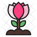 پیش‌نمایش فایل rose-230 از پک بهار