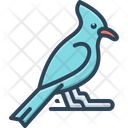 پیش‌نمایش فایل jay-bird-4667879 از پک متفرقه