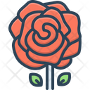 پیش‌نمایش فایل rose-4774882 از پک متفرقه