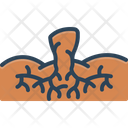 پیش‌نمایش فایل root-5356175 از پک متفرقه