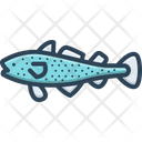 پیش‌نمایش فایل cod-fish-6357754 از پک مجموعه متفرقه شماره ۴۱۹