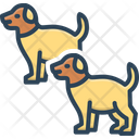 پیش‌نمایش فایل dogs-6472316 از پک مجموعه متفرقه شماره ۴۳۰