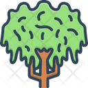 پیش‌نمایش فایل willow-6472305 از پک مجموعه متفرقه شماره ۴۳۰