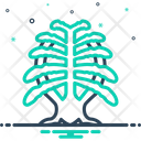 پیش‌نمایش فایل cedar-6545962 از پک مجموعه متفرقه شماره ۴۵۰