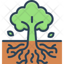 پیش‌نمایش فایل roots-6624440 از پک مجموعه متفرقه شماره ۴۴۳