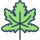 پیش‌نمایش فایل maple-6624779 از پک مجموعه متفرقه شماره ۴۴۵