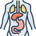 پیش‌نمایش فایل anatomy-7330478 از پک مجموعه متفرقه شماره ۴۸۶