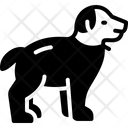 پیش‌نمایش فایل dog-7259301 از پک مجموعه متفرقه شماره ۴۸۲