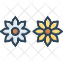 پیش‌نمایش فایل same-flowers-7354622 از پک مجموعه متفرقه شماره ۴۹۶