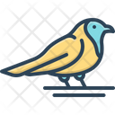 پیش‌نمایش فایل robin-8300777 از پک مجموعه متفرقه شماره ۵۲۶