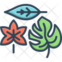 پیش‌نمایش فایل leaves-9858270 از پک مجموعه متفرقه شماره ۵۹۹