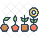 پیش‌نمایش فایل evolution-10236457 از پک رشد