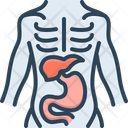 پیش‌نمایش فایل anatomy-11887138 از پک علم
