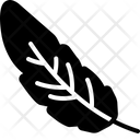 پیش‌نمایش فایل feather-1132206 از پک زندگی وحشی