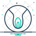 آیکن