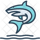 پیش‌نمایش فایل shark-12620932 از پک دریا