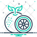 پیش‌نمایش فایل orange-12886133 از پک میوه‌ها