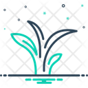 پیش‌نمایش فایل tea-leaves-14814028 از پک چای
