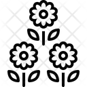 پیش‌نمایش فایل flower-14725582 از پک روز زن