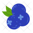 پیش‌نمایش فایل blueberry-14702000 از پک میوه