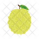 پیش‌نمایش فایل custard-apple-14702004 از پک میوه