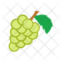 پیش‌نمایش فایل grapes-14702005 از پک میوه