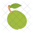 پیش‌نمایش فایل guava-14702006 از پک میوه