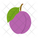 پیش‌نمایش فایل plum-14701994 از پک میوه