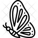 پیش‌نمایش فایل butterfly-14634239 از پک عید پاک