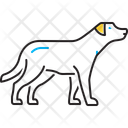 پیش‌نمایش فایل dog-14515971 از پک حیوان خانگی