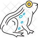 پیش‌نمایش فایل frog-14515608 از پک حیوان آبزی