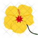 پیش‌نمایش فایل hibscius-13647276 از پک گل