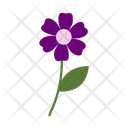 پیش‌نمایش فایل lavender-13647278 از پک گل