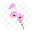 پیش‌نمایش فایل orchid-13647280 از پک گل