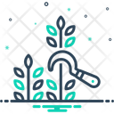 پیش‌نمایش فایل harvest-13786020 از پک کشاورزی ارگانیک
