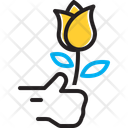آیکن
